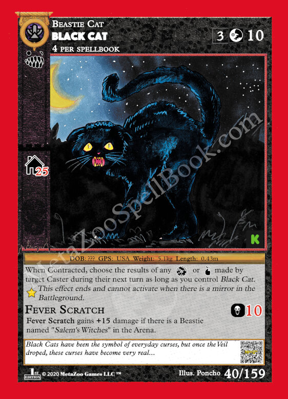 Black Cat KS 40/159 Poncho