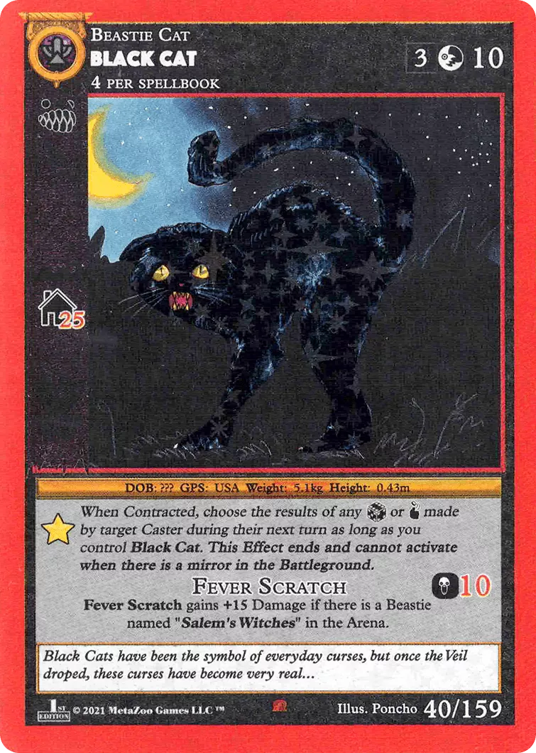 Black Cat - Cryptid Nation - 40/159 - PONCHO (RH/NH)